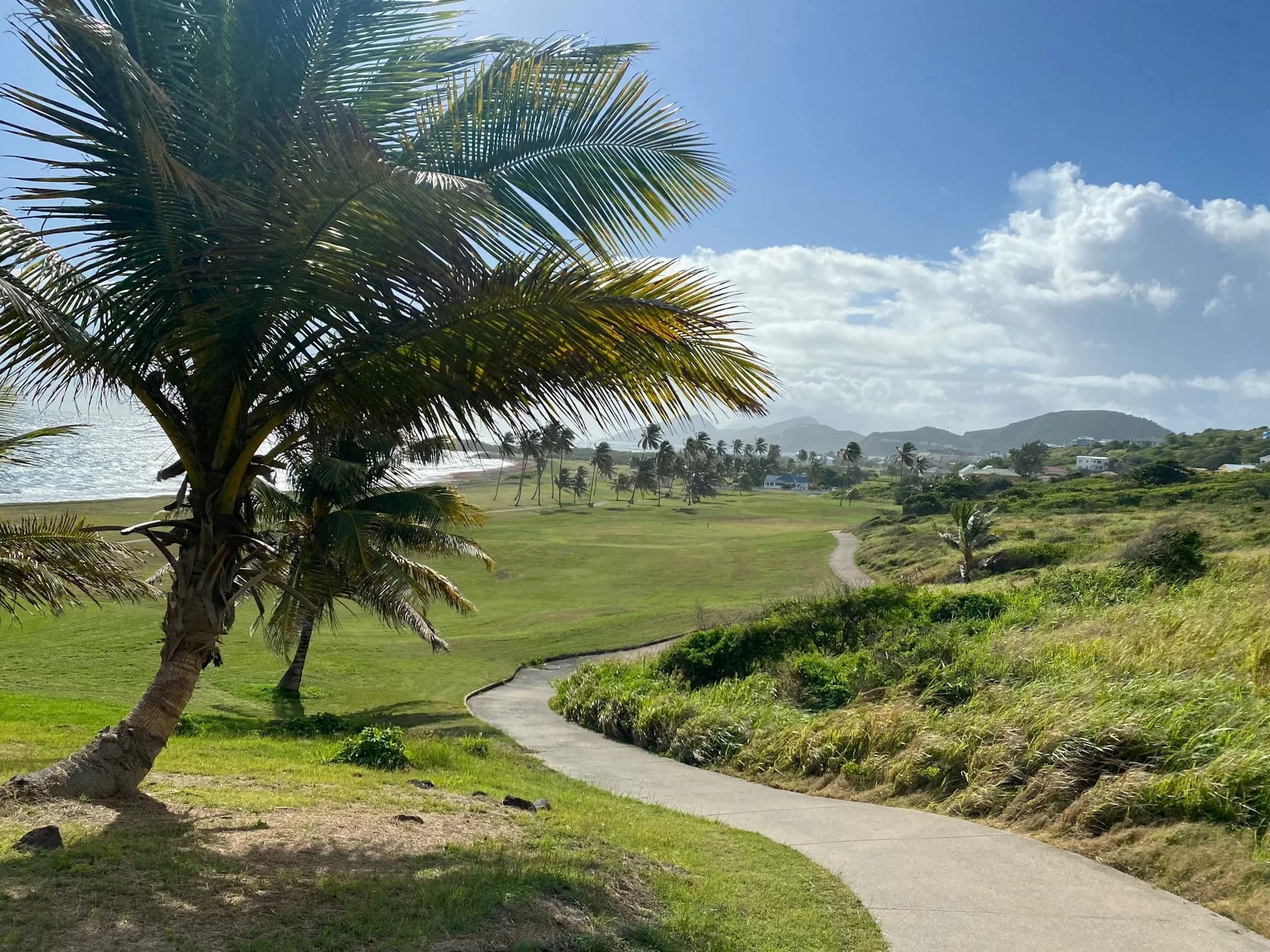 St. Kitts & Nevis Citizenship by Investment Programme